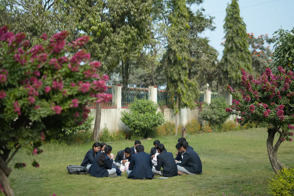 Students sitting on a lawn on campus
